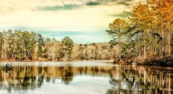 Top Georgia Road Trip Destinations: A Fun Travel Itinerary