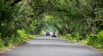Top Virginia Road Trip Destinations: 9 Amazing Spots
