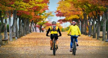 Cheap Things to Do in Minnesota to Explore the Twin Cities