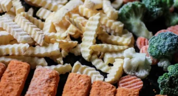 Best and Cheapest Ways of Keeping Foods Frozen When Traveling