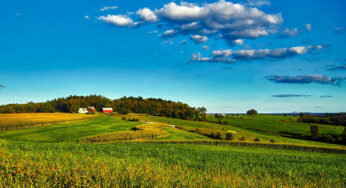 Cheap Things to Do in Wisconsin: Pocket-friendly Attractions